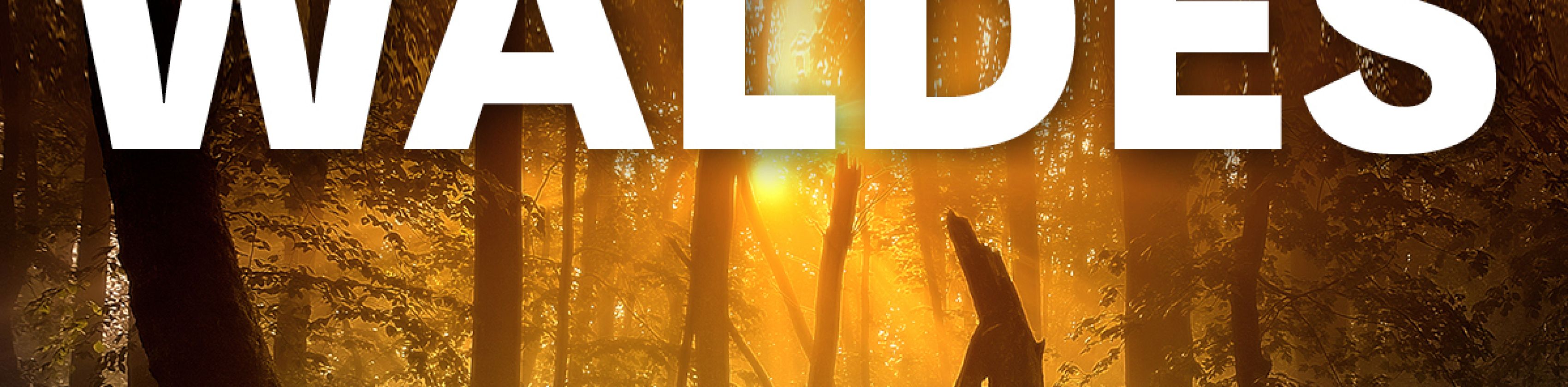 MUNDOLOGIA: Die Seele des Waldes MUNDOLOGIA: Die Seele des Waldes