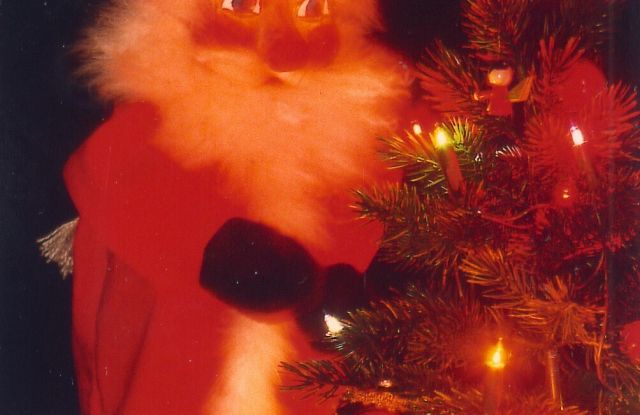 Kasper und der Weihnachtsmann Kasper und der Weihnachtsmann