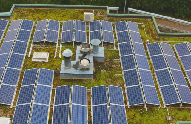 Toiture verte ou installations photovoltaïques sur le toit ? Les deux ! - Lunch & Learn au magasin EWS de Freiburg Toiture verte ou installations photovoltaïques sur le toit ? Les deux ! - Lunch & Learn au magasin EWS de Freiburg