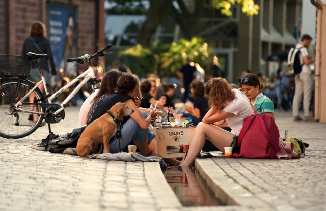 Bächle Picknick 2 Bächle Picknick 2