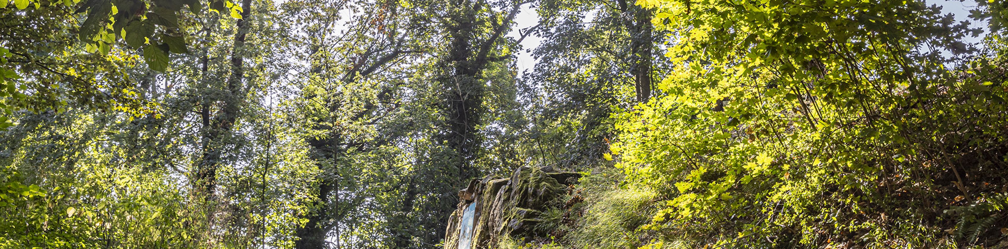 Schlossberg-FWTM-Spiegelhalter.44 Schlossberg-FWTM-Spiegelhalter.44