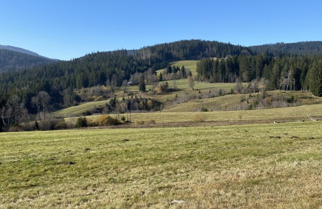 Alpine paths & expansive views Alpine paths & expansive views