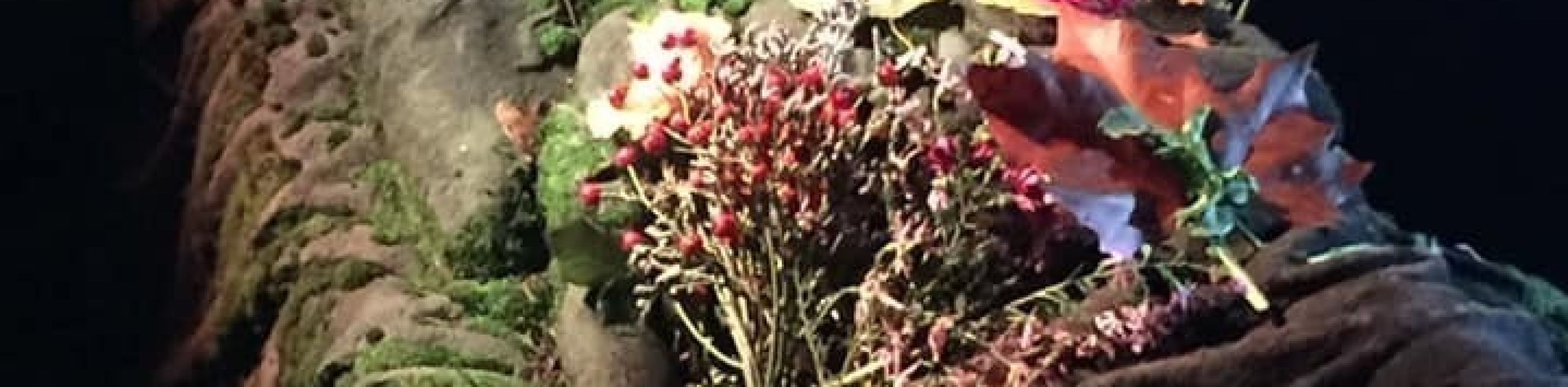 Historix-Tours: Friedhofstour - Stadtführung mit Schauspieler*innen Historix-Tours: Friedhofstour - Stadtführung mit Schauspieler*innen