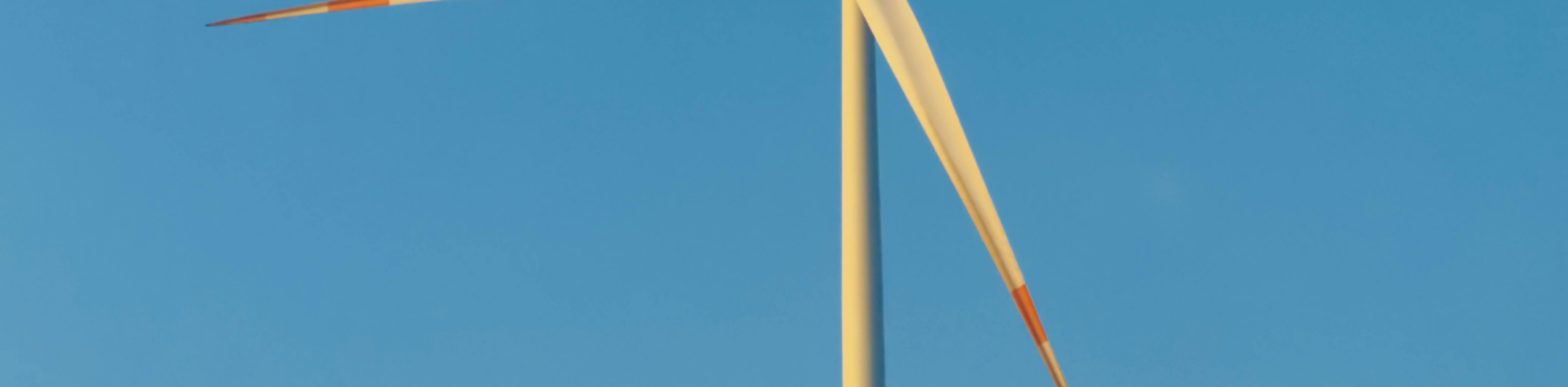 windrad, © Free Canva License windrad, © Free Canva License