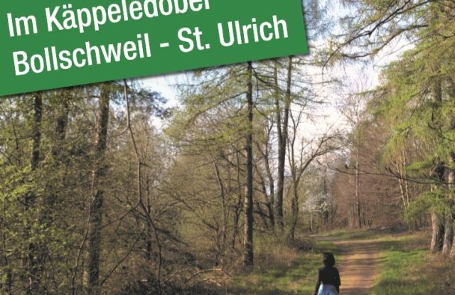 Waldbaden mit erlebnisreicher Wanderung zum Waldbadepfad mit Natur- & Landschaftsführerin Veronika Sumser Waldbaden mit erlebnisreicher Wanderung zum Waldbadepfad mit Natur- & Landschaftsführerin Veronika Sumser