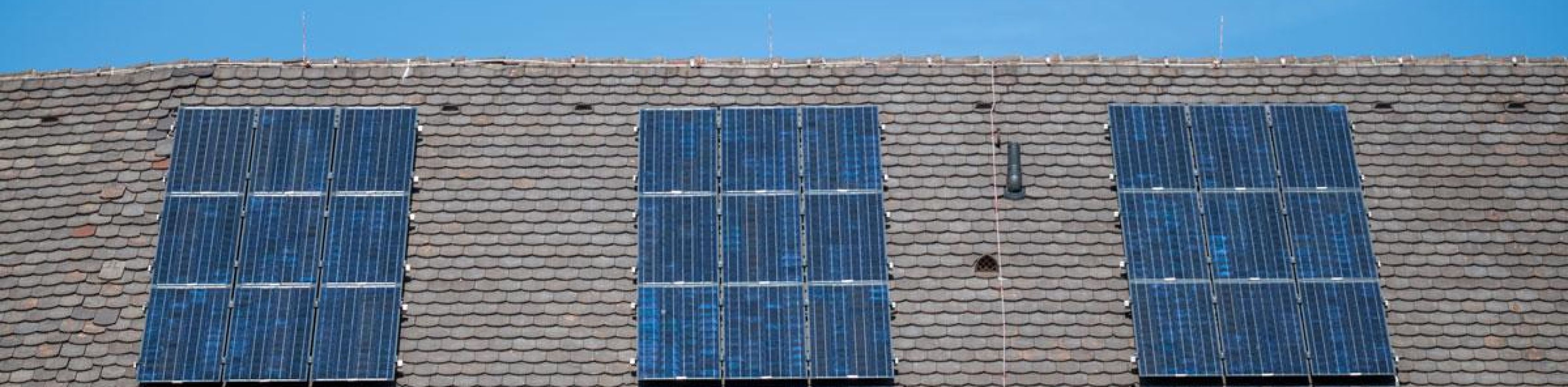 Foto: Seeger / Stadt Freiburg Foto: Seeger / Stadt Freiburg