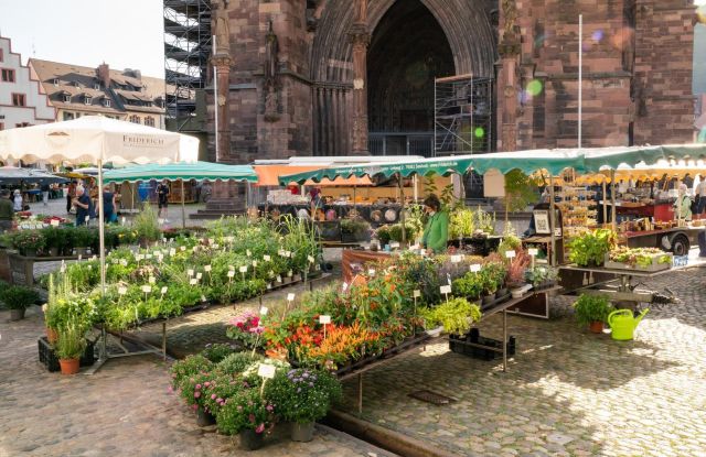 Sommer-Shooting-Copyright-FWTM-Bender (163), © FWTM-Bender Sommer-Shooting-Copyright-FWTM-Bender (163), © FWTM-Bender