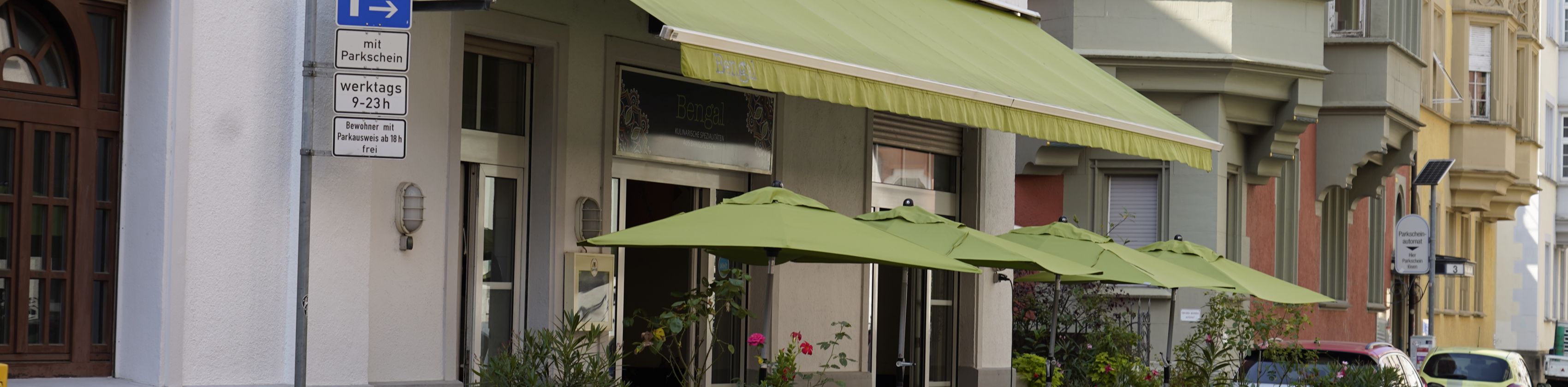 bengal-copyright-fwtm-elgersma bengal-copyright-fwtm-elgersma