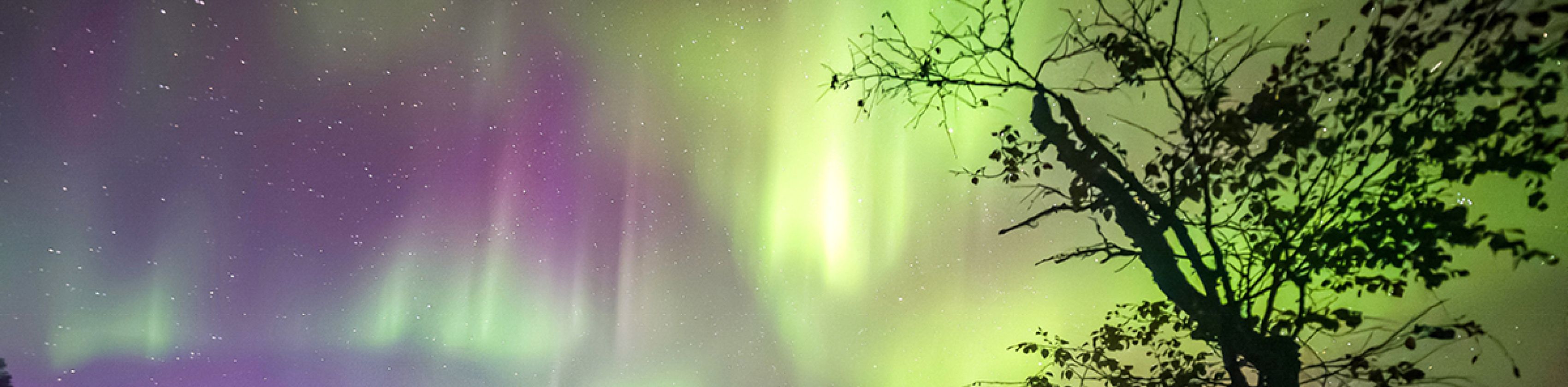 MUNDOLOGIA: Wildes Skandinavien MUNDOLOGIA: Wildes Skandinavien