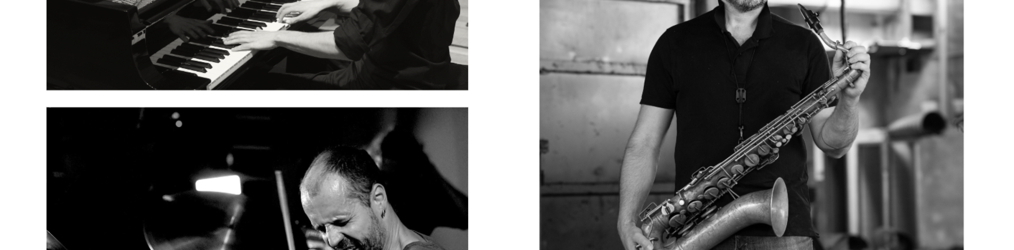 Cirera:Gapp:Furtado, © CCO Cirera:Gapp:Furtado, © CCO