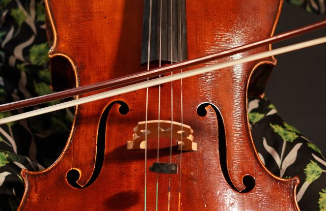 Violoncello im Konzert Violoncello im Konzert