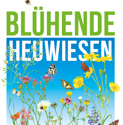 Exhibition "Blooming hay meadows" Exhibition "Blooming hay meadows"