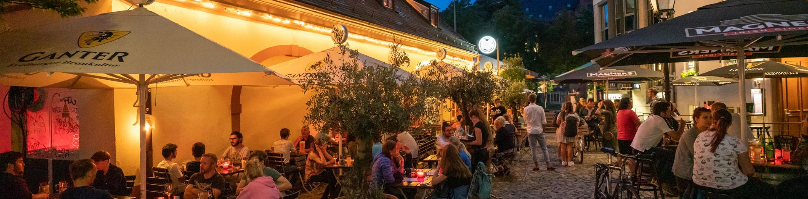 Blauer Fuchs_FWTM-Bender Blauer Fuchs_FWTM-Bender