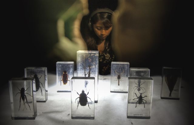 Intercambios - Archives des choses en voie de disparition Intercambios - Archives des choses en voie de disparition