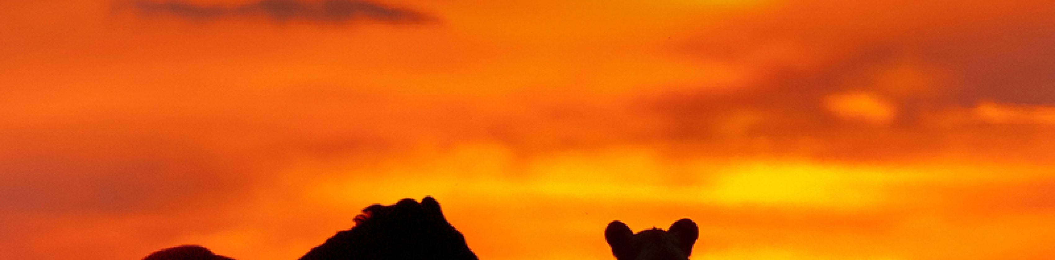 MUNDOLOGIA: Südafrika MUNDOLOGIA: Südafrika