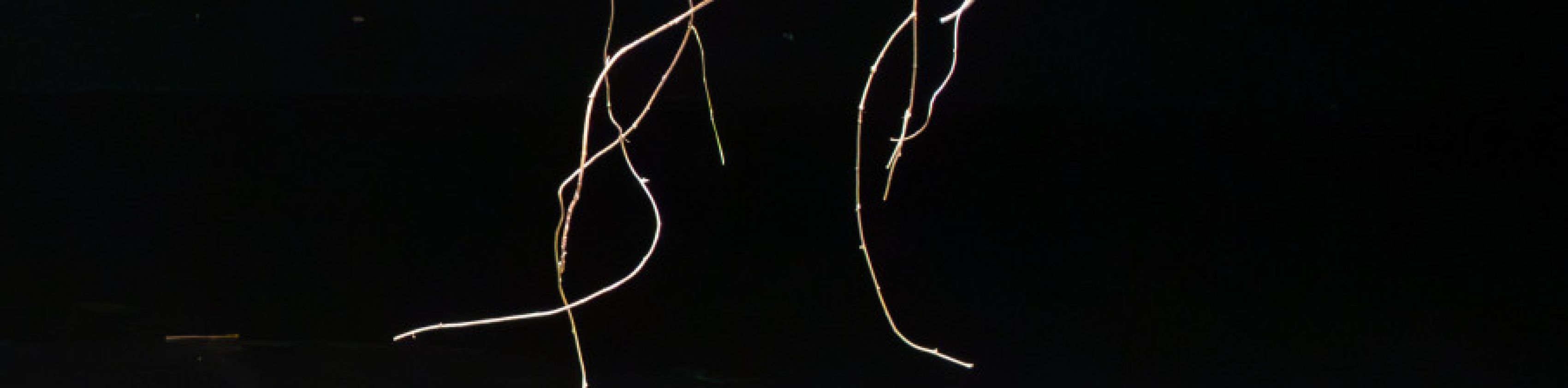 Épique! (für Yikakou), © Nadia Beugré Épique! (für Yikakou), © Nadia Beugré