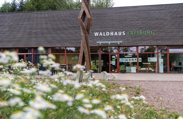 Holzschnitt mit Brian Curling Holzschnitt mit Brian Curling