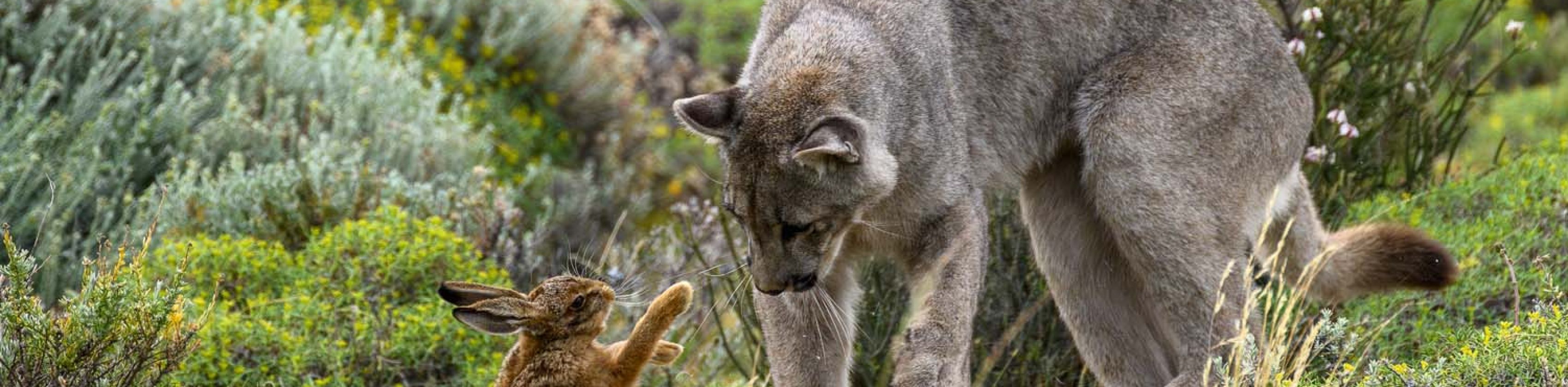 K2_08_bernd_nill_final_moment..._AHHWO4M5