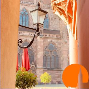 Freiburg for advanced learners - public city tour