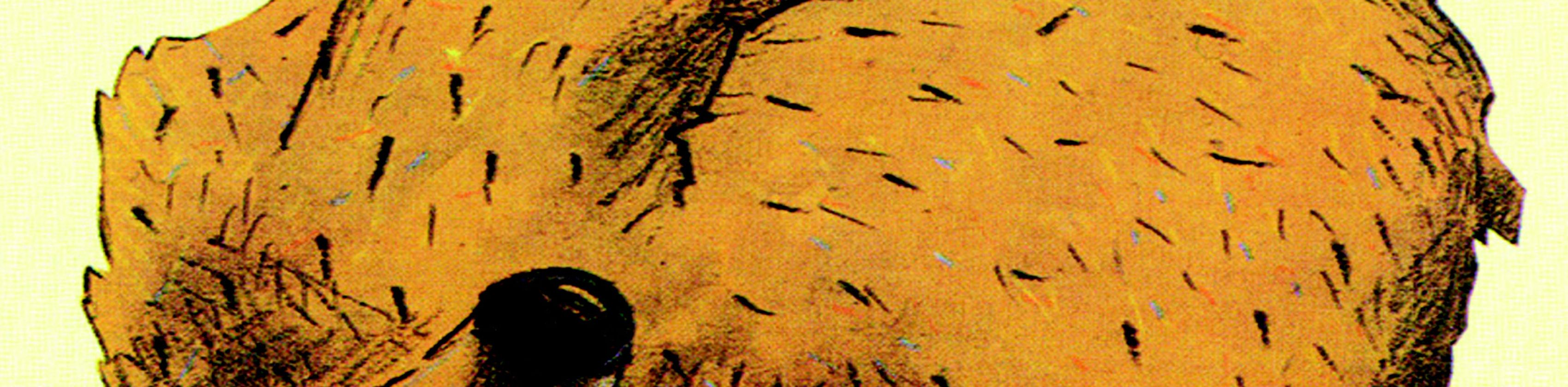 Das B&auml;renwunder - Ein Theaterst&uuml;ck nach dem Bilderbuch von Wolf Erlbruch