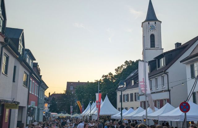 Herdermer Hock 2025_FWTM-V&ouml;gtle