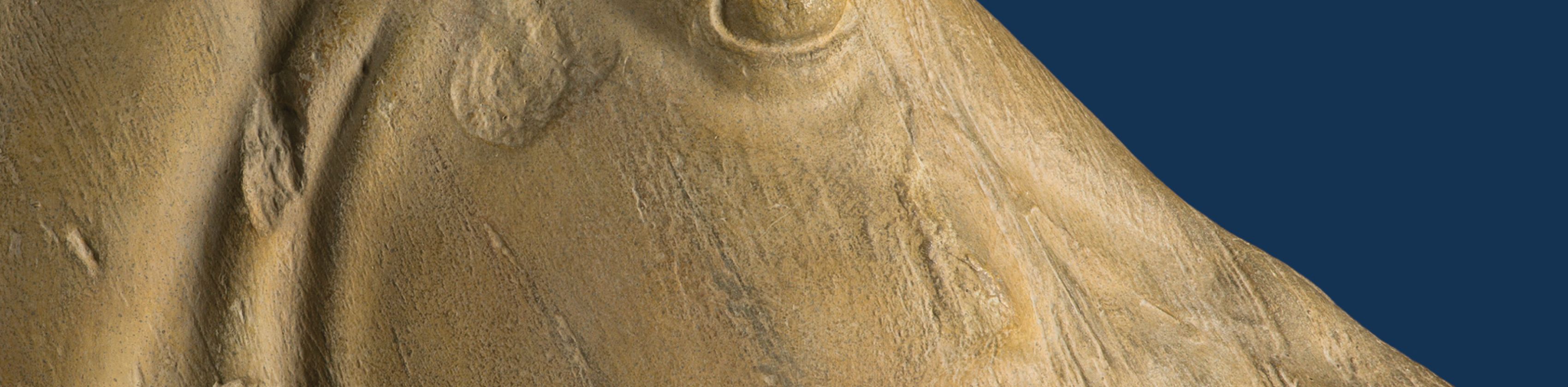 Pferdekopf O aus dem Ostgiebel des Parthenon, Athen (5. Jh. v. Chr), &copy; Nailia Schwarz