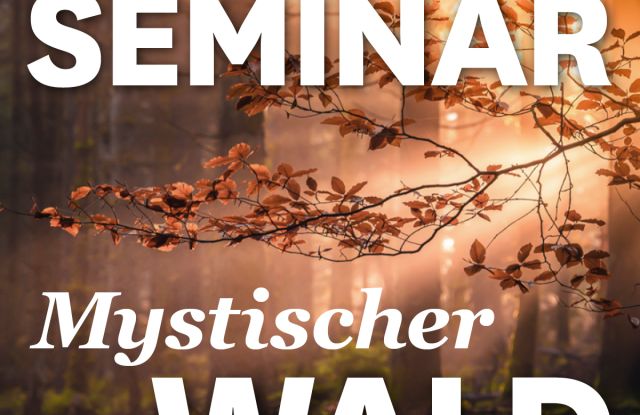 MUNDOLOGIA-Seminar: Mystische Waldfotografie