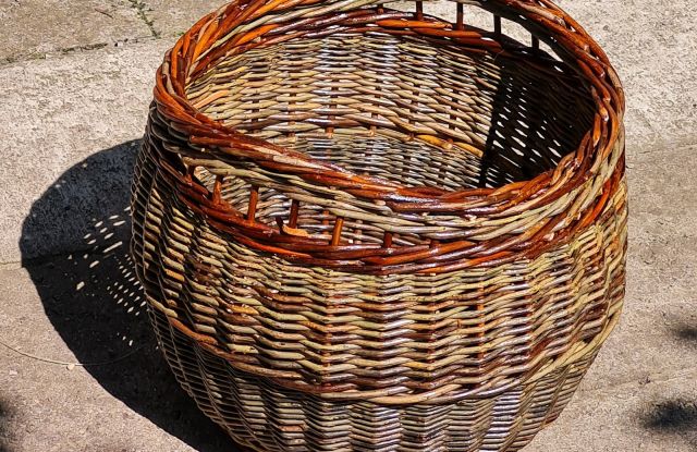 Basket weaving with willows