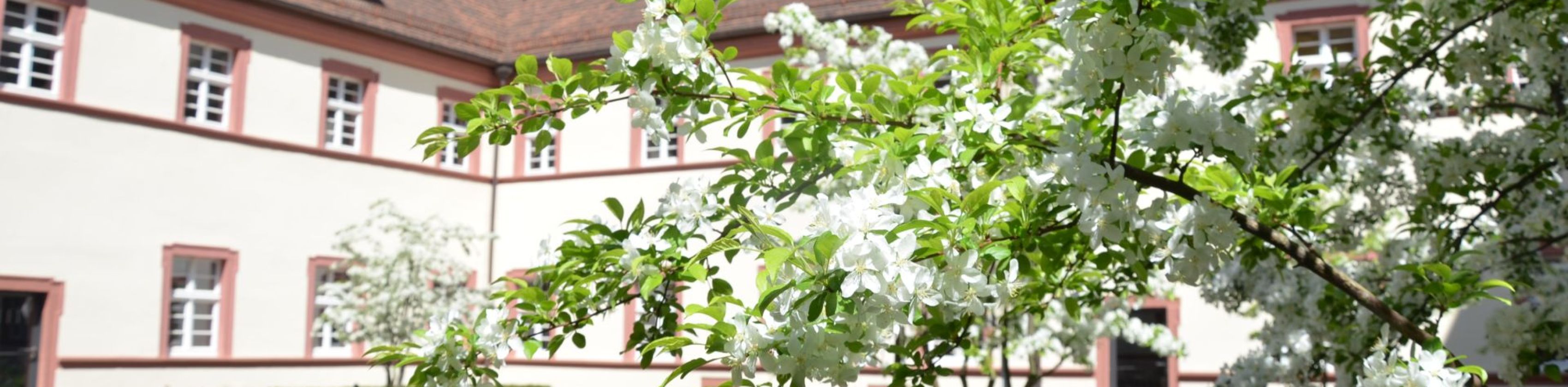 Stiftungsverwaltung Freiburg Innenhof