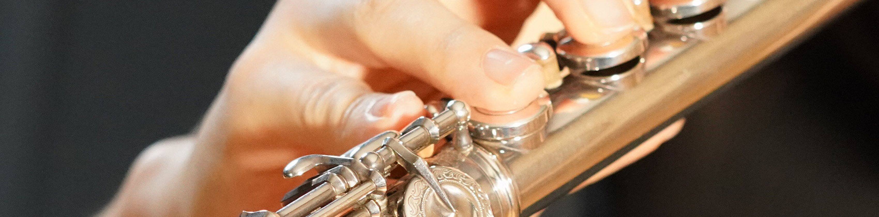 Querfl&ouml;te im Konzert