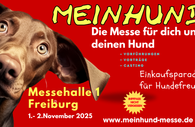 Freiburg 2025, © M.Piesch