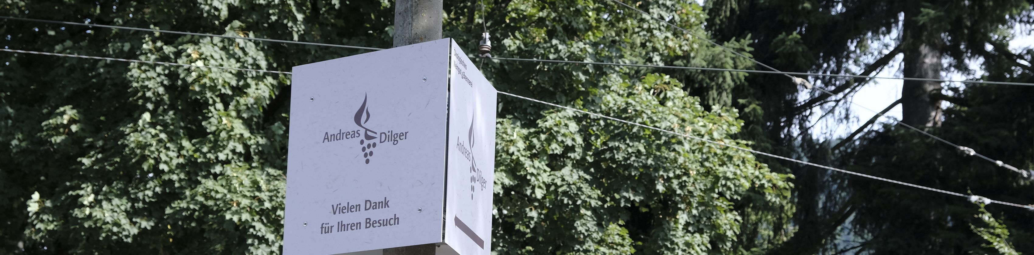 weingut-dilger-copyright-fwtm-mutter, &copy; FTWM-Mutter