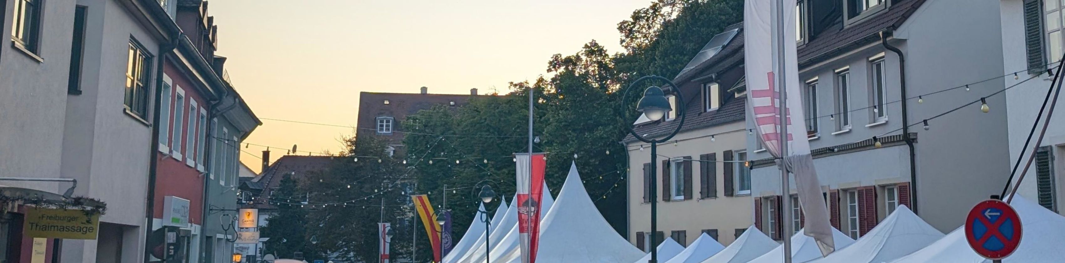 Herdermer Hock 2025_FWTM-V&ouml;gtle