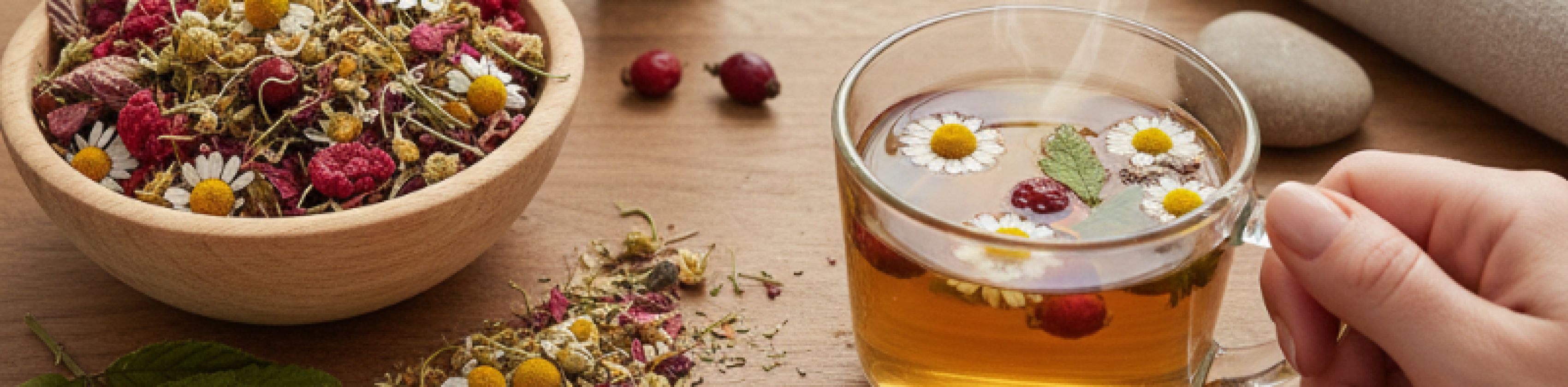 2026_naturheilkunde_sl