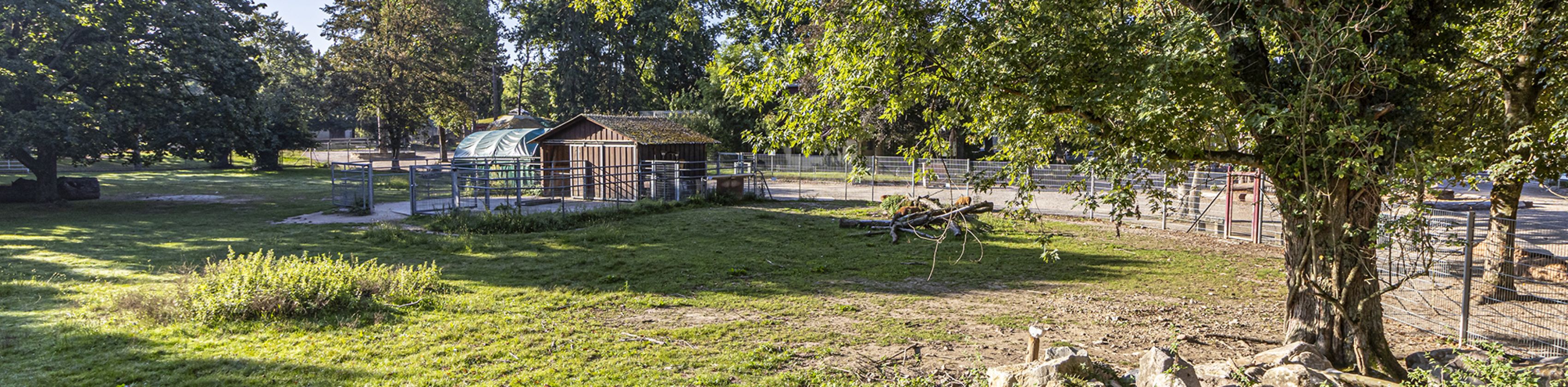 Mundenhof-Tiergehege-FWTM-Spiegelhalter.27, © FWTM-Spiegelhalter