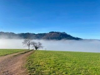 Randonnée avec Sabrina