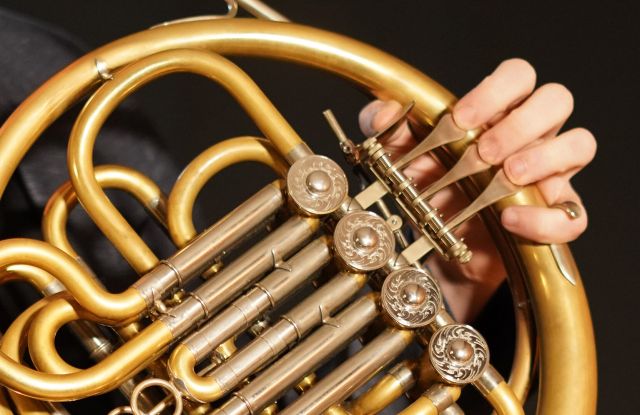 Horn in concert