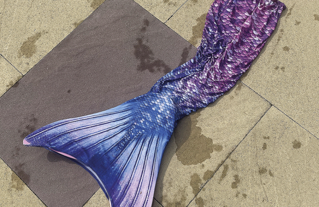 Wasserwelt. Das Musical