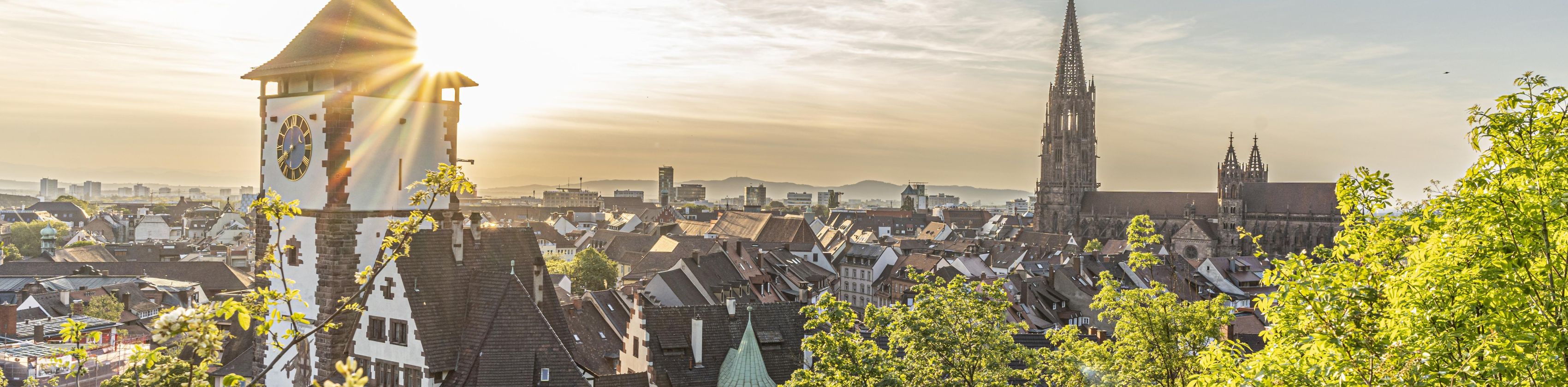 Schwabentor-FWTM-Spiegelhalter.14