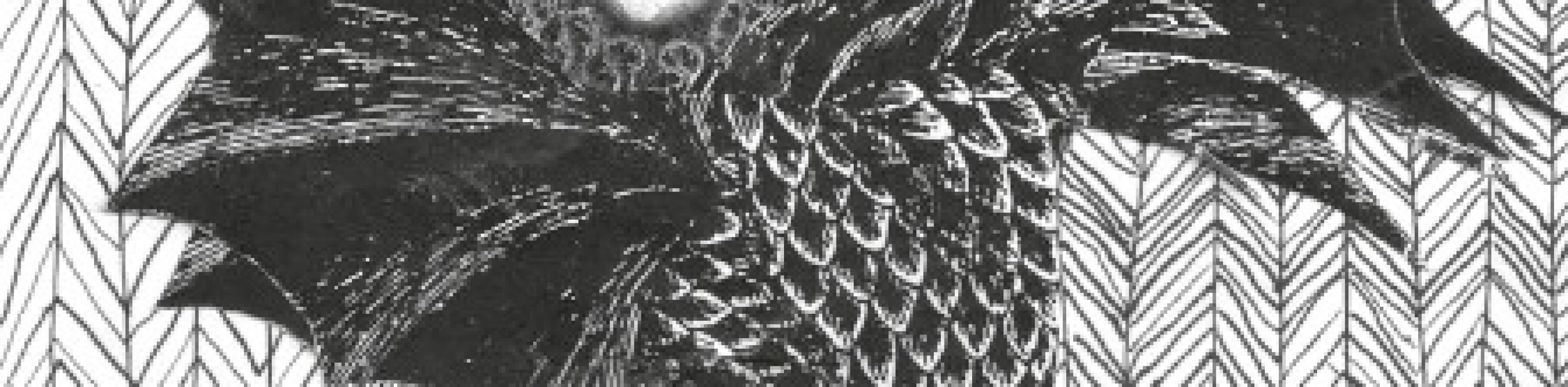 Bea von Malchus - Briefe an Batman