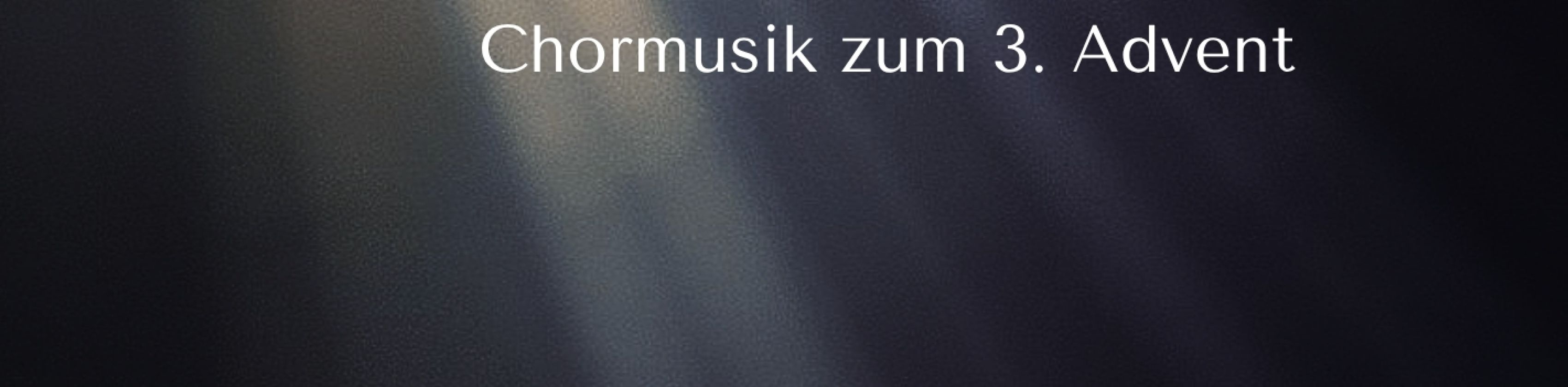 Gaude!_Plakat (A4), © Tara Farken