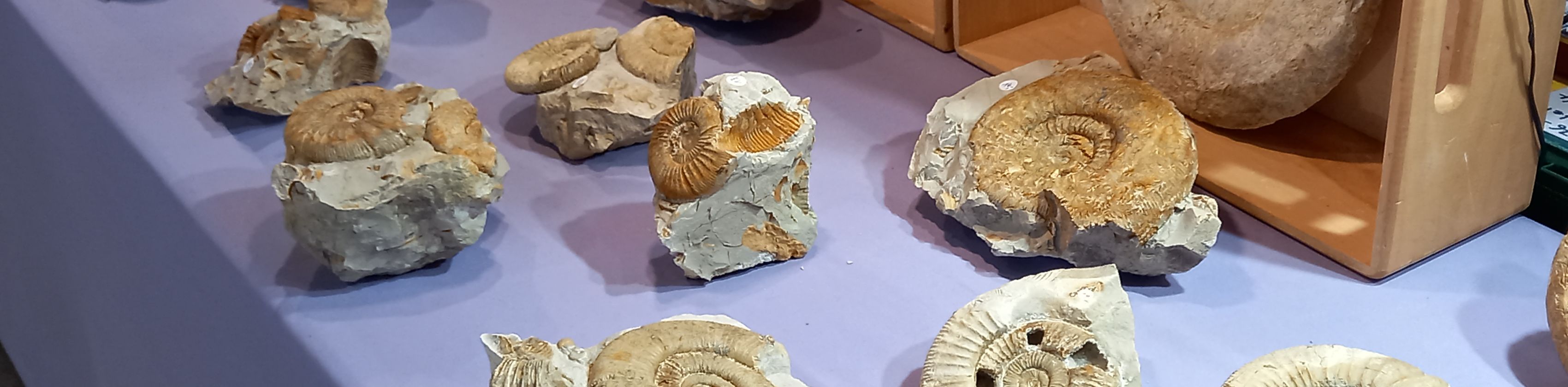 47th Mineral and Fossil Days Freiburg