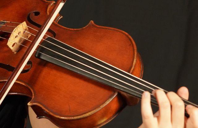Viola in concert