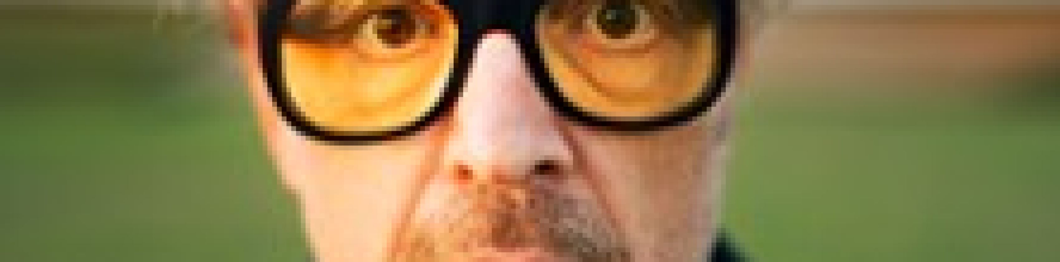 Josef Hader