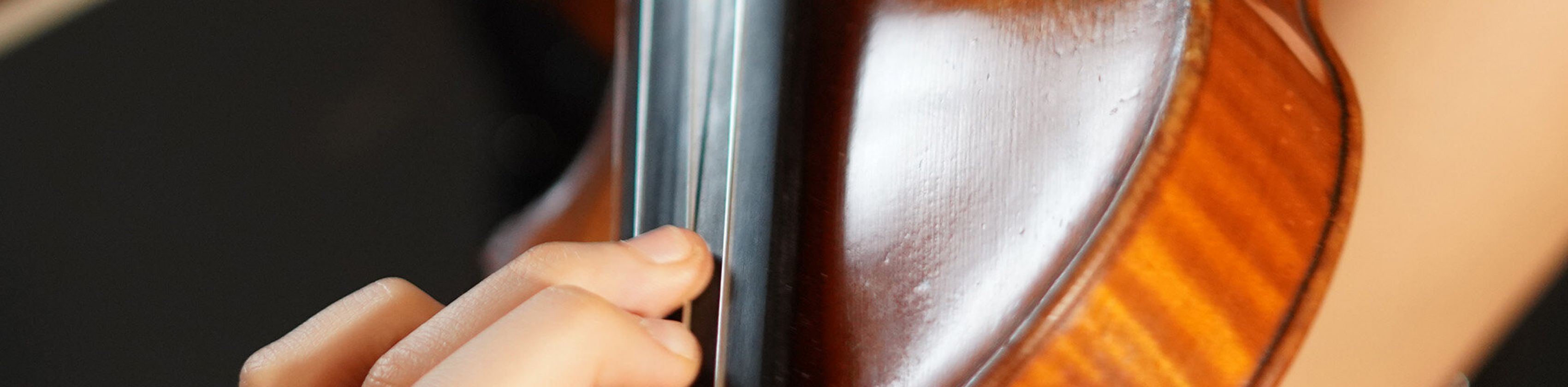 Violine im Konzert