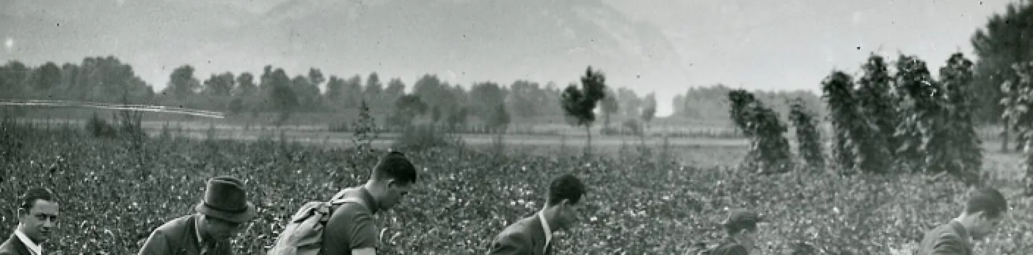 Auf der Flucht vor Hitler durch den Balkan, &copy; National Archives, photo no. 306-NT-969K-3