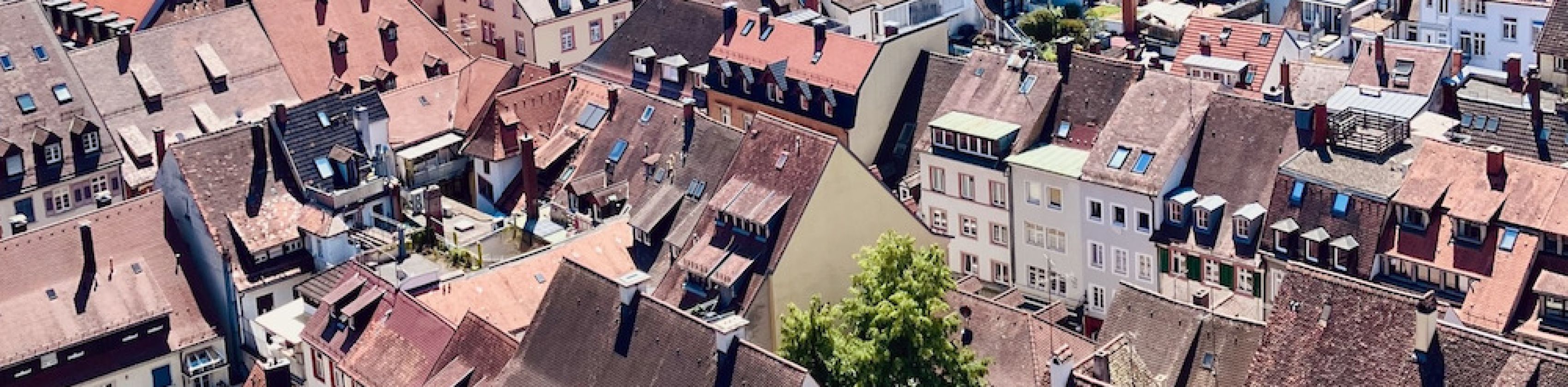 Freiburg f&uuml;r Einsteiger - &ouml;ffentliche Stadtf&uuml;hrung Freiburg