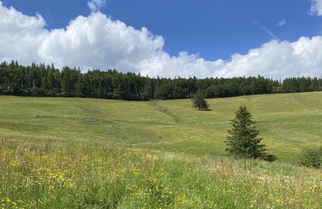 Le tour de la vallée de l'Höllental, partie II