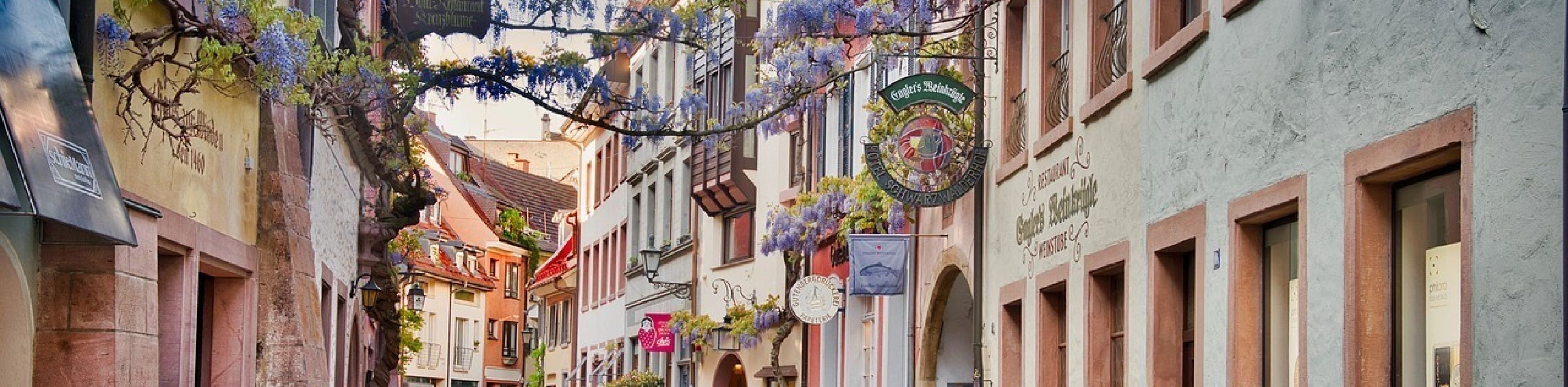 &Ouml;ffentliche Stadtf&uuml;hrung Freiburg - Stadtf&uuml;hrung Freiburg 2026