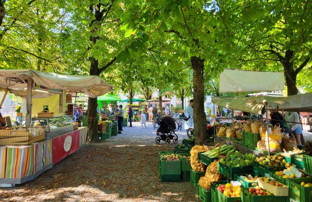 Stühlinger_Bauernmarkt_Copyright Wasik 23, © FWTM-Wasik